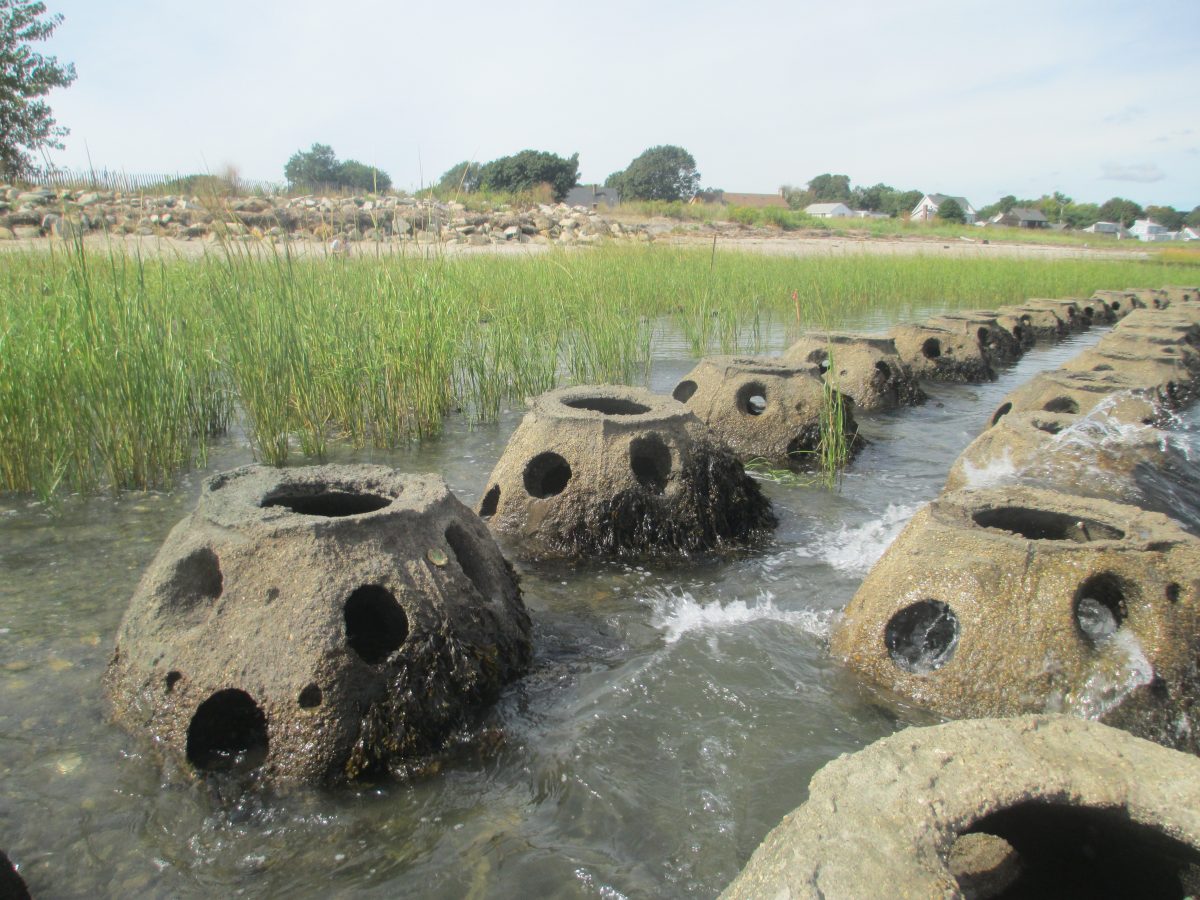 Giant wiffle ball-shaped reefs aim to combat erosion of Long Island