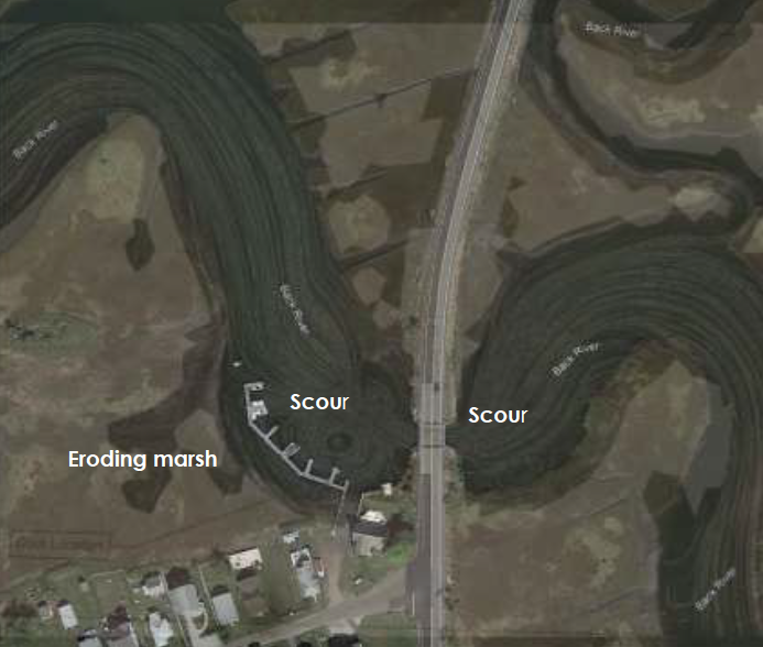 Back River restoration site